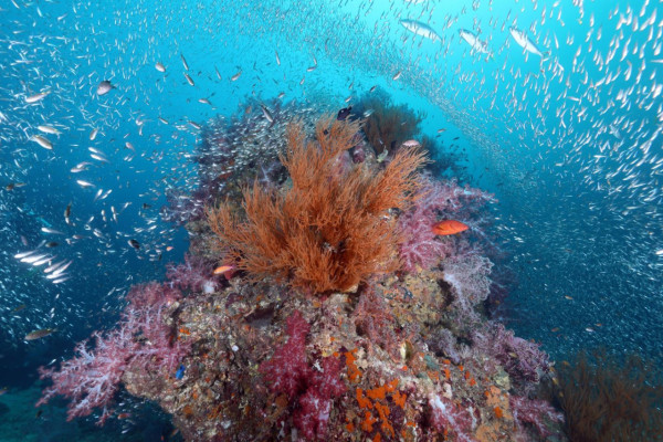 【飛女】邂逅泰國最美 - 蘭塔島 Koh Lanta 