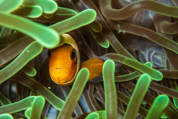 【飛女】邂逅泰國最美 - 蘭塔島 Koh Lanta 