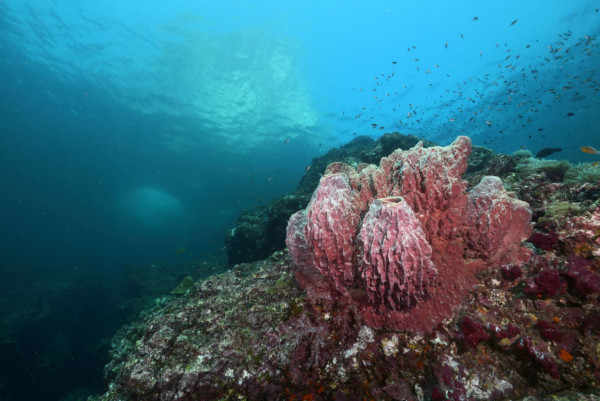 【飛女】邂逅泰國最美 - 蘭塔島 Koh Lanta 