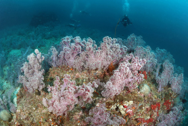 【飛女】邂逅泰國最美 - 蘭塔島 Koh Lanta 