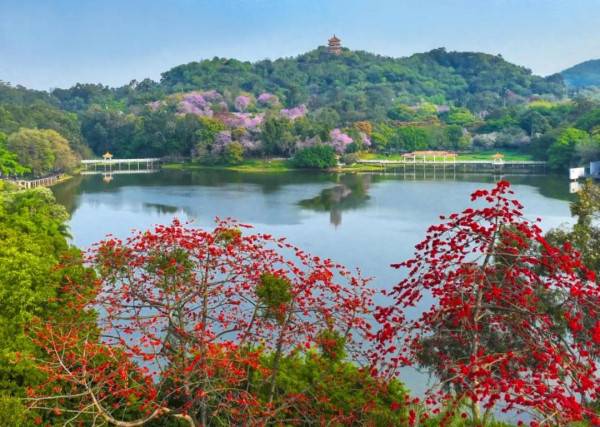 麓湖公園（圖片來源︰廣州越秀發布微信公眾號）