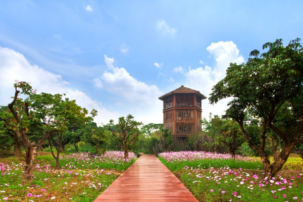 海珠國家濕地公園（圖片來源︰廣州海珠國家濕地公園）