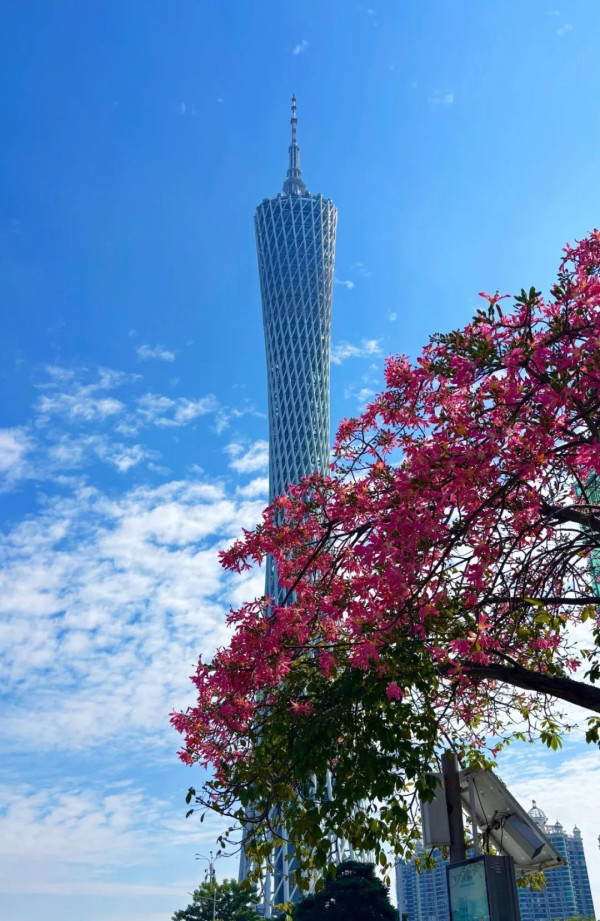 廣州塔（圖片來源︰廣州塔微信公眾號）