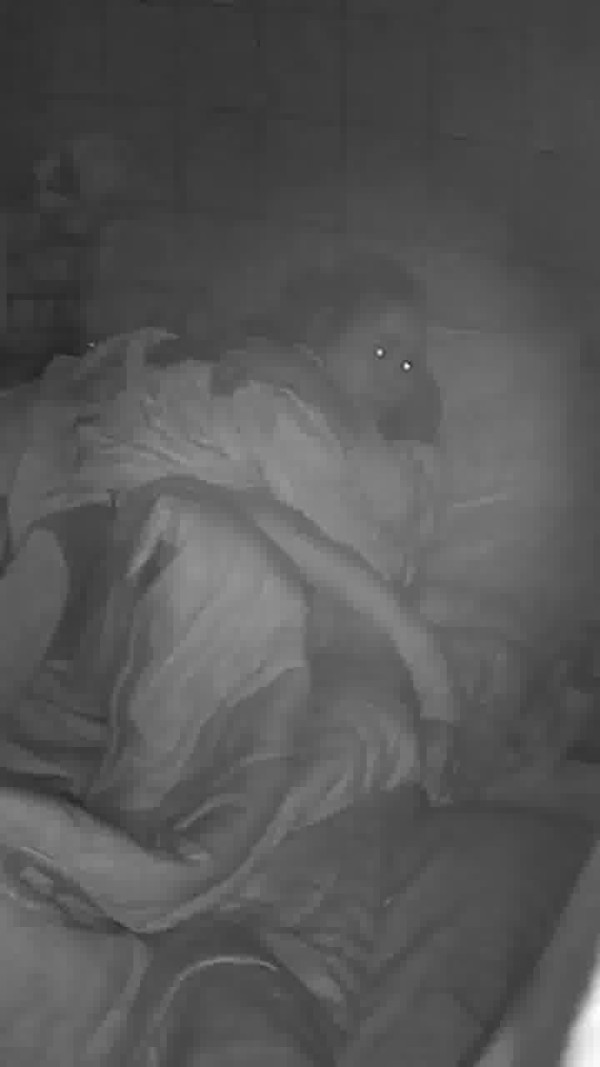 台灣地震一刻印傭姐姐飛身緊擁臥床婆婆 漆黑中寸步不離感動網友:值得加薪