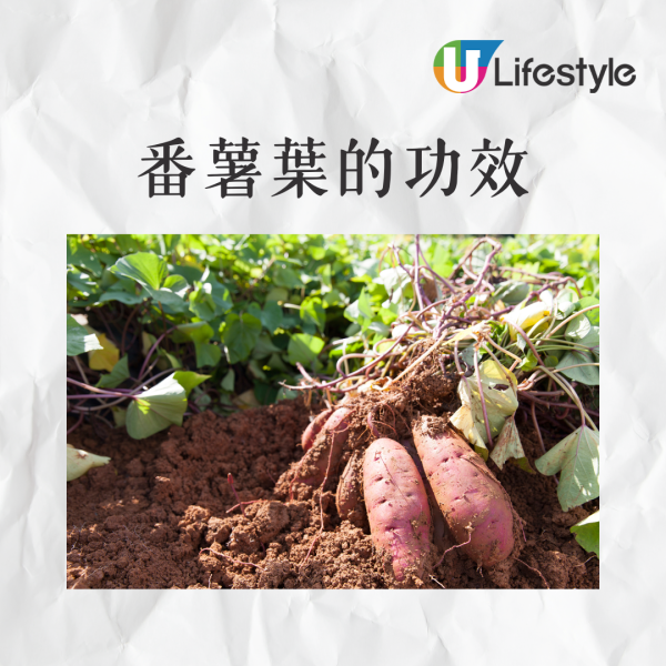 內地年輕夫妻雙雙得肝癌 醫生：燉排骨湯加1食材似服毒