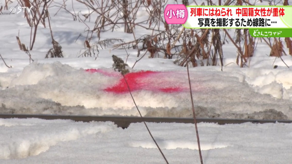 61歲香港女遊客北海道被列車撞倒 送院後不治身亡 疑因拍攝海景闖入路軌 