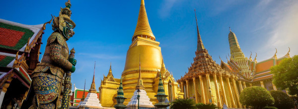 泰國5月起恢復填入境表格制度 持外國護照均需填寫 入境費或推遲徵收 