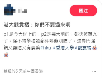 香港大學擺年桔增新年氣氛！幾日後驚現慘況網民無語：我公司門口都係咁