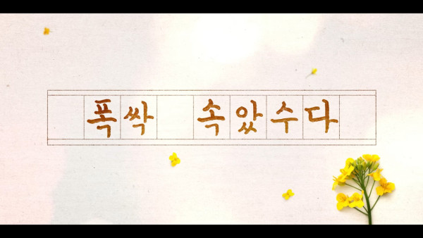 IU新劇濟州島油菜花田取景 劇照美如畫 以四季象徵人生階段蛻變 