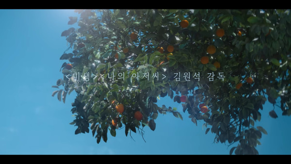 IU新劇濟州島油菜花田取景 劇照美如畫 以四季象徵人生階段蛻變 