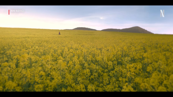 IU新劇濟州島油菜花田取景 劇照美如畫 以四季象徵人生階段蛻變 