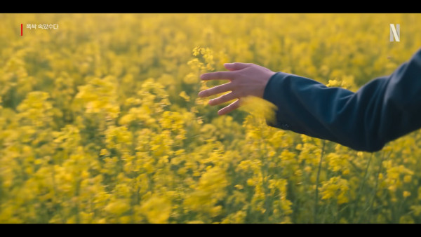 IU新劇濟州島油菜花田取景 劇照美如畫 以四季象徵人生階段蛻變 