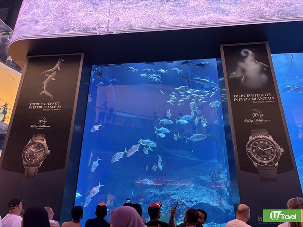 杜拜自由行｜7大必去景點推薦！ 世界最大相框/棕櫚島/帆船酒店 