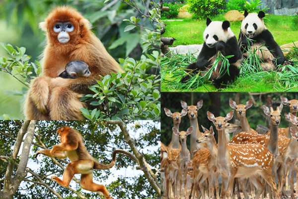 深圳10大新年玩樂優惠!遊樂場/冰雪世界門票買一送一 附廣州/珠海好去處