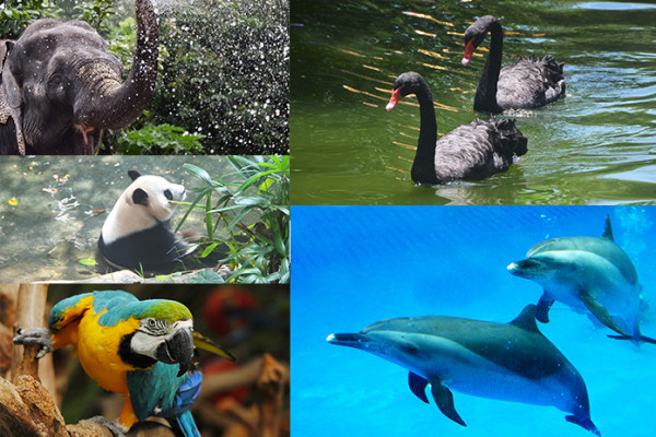 深圳10大新年玩樂優惠!遊樂場/冰雪世界門票買一送一 附廣州/珠海好去處