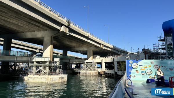 東岸板道丨東區走廊行人板道西環行到筲箕灣！玻璃棧道/釣魚平台/寵物花園景點 