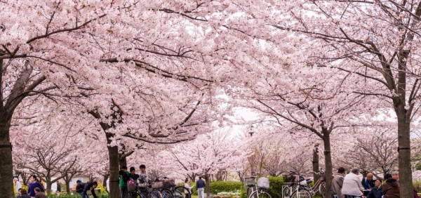 (圖片來源︰Istock) (圖片來源︰Istock)