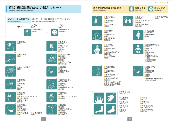 大S離世|遊日患急病如何自救?日本旅遊局、專家教路必學6式