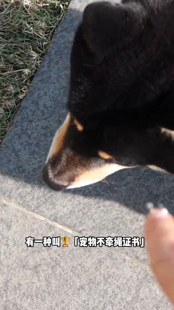 小紅書女中環食5兩餸飯 震驚網民：不如我辭職每天煮給你 