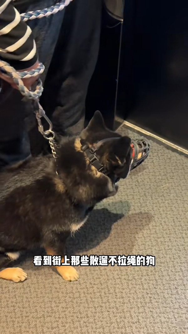 小紅書女中環食5兩餸飯 震驚網民：不如我辭職每天煮給你 