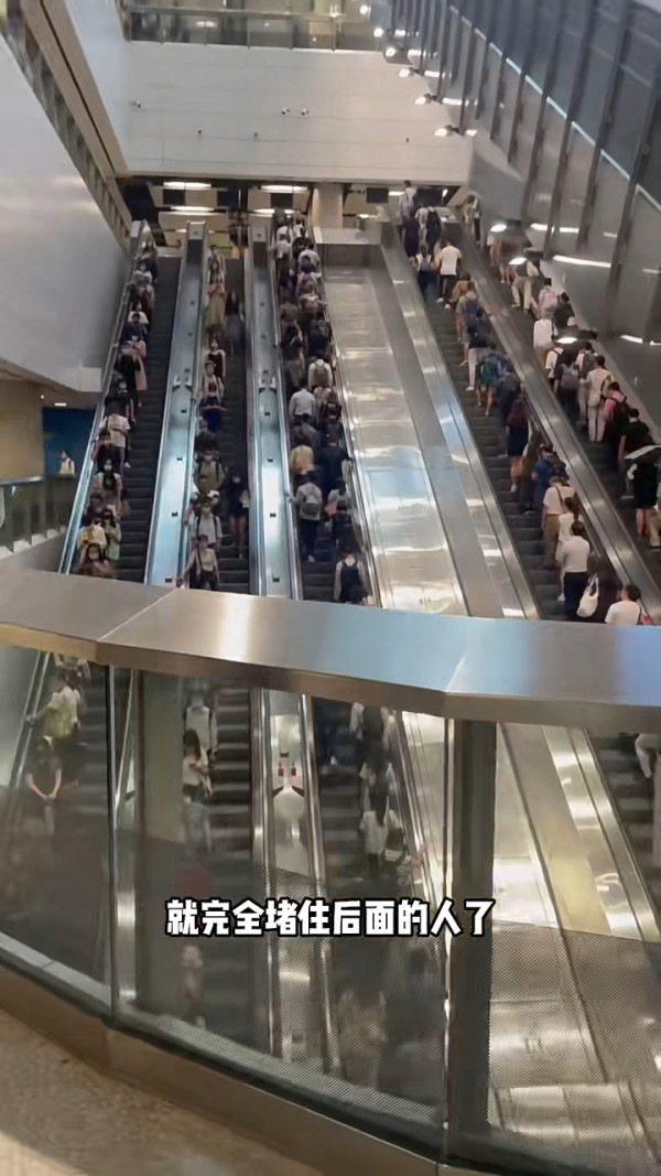 小紅書女中環食5兩餸飯 震驚網民：不如我辭職每天煮給你 