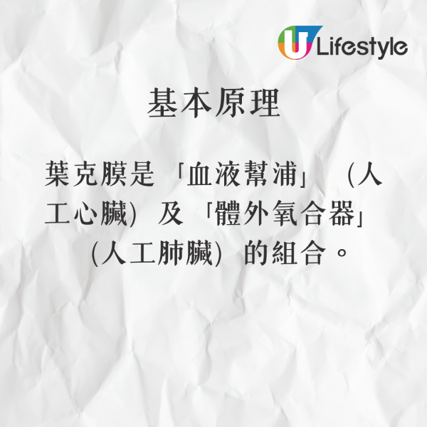 大S離世｜驚傳大S真實死因並非肺炎而是敗血症？醫生親解釋原因 什麼是葉克膜？