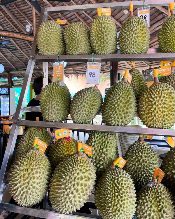 馬來西亞吉隆坡美食｜必吃米芝蓮肉骨茶、椰漿飯！榴蓮Tasting Platter試勻5款榴蓮 