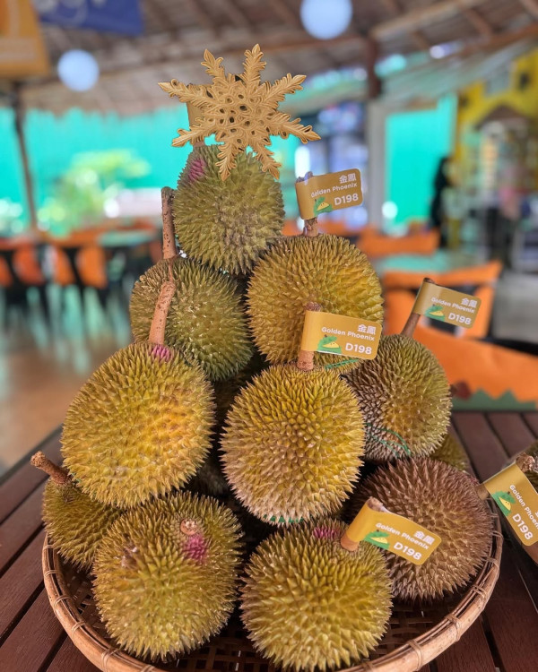馬來西亞吉隆坡美食｜必吃米芝蓮肉骨茶、椰漿飯！榴蓮Tasting Platter試勻5款榴蓮 