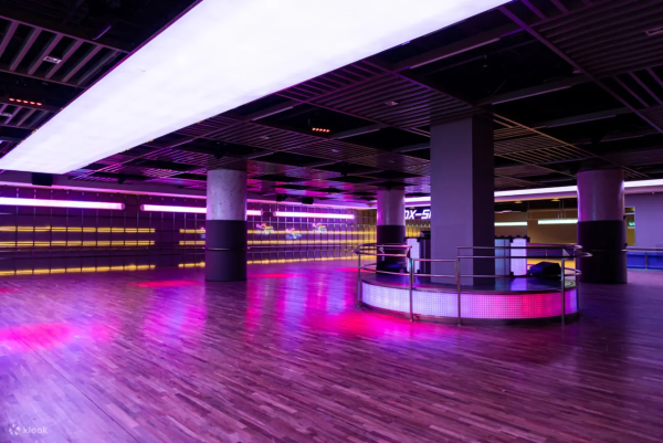 深圳遊樂場｜20+深圳室內遊樂場/滑雪場/主題樂園/動物園 亞洲最大海盜船/運動設施/VR遊戲 