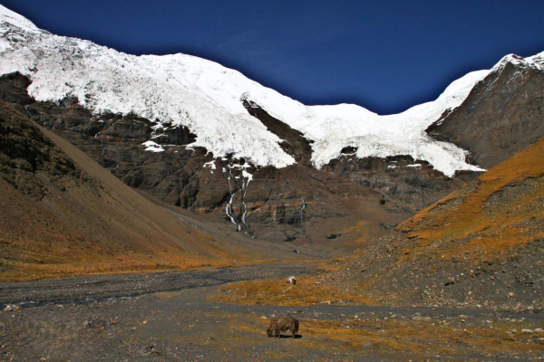 西藏必去景點︰卡若拉冰川（圖片來源︰百度圖片）
