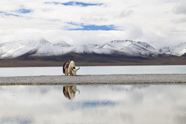 西藏必去景點︰納木錯湖（圖片來源︰國家地理雜誌官方網站）