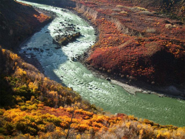 夏季是西藏的旅遊旺季，比中國絕大多數城市涼爽，適合前往西藏避暑。（圖片來源︰西藏旅遊網官網）