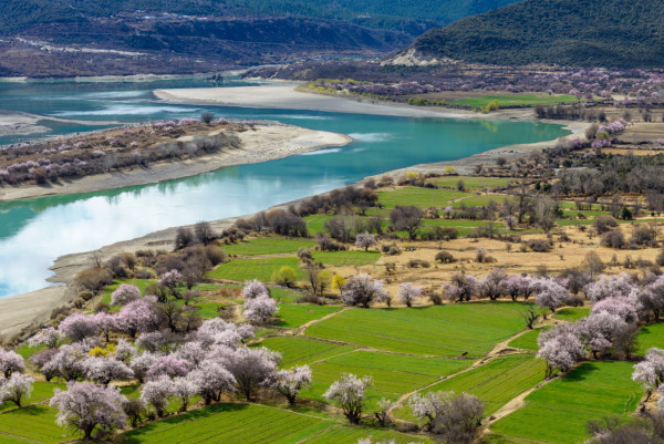 西藏旅行懶人包︱香港直飛拉薩 必去10景點+交通+最佳旅遊季節 