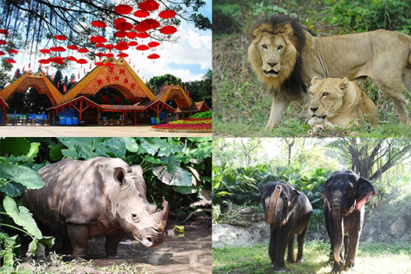 深圳遊樂場｜20+深圳室內遊樂場/滑雪場/主題樂園/動物園 亞洲最大海盜船/運動設施/VR遊戲 