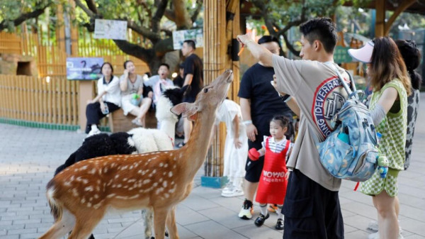 深圳遊樂場｜20+深圳室內遊樂場/滑雪場/主題樂園/動物園 亞洲最大海盜船/運動設施/VR遊戲 