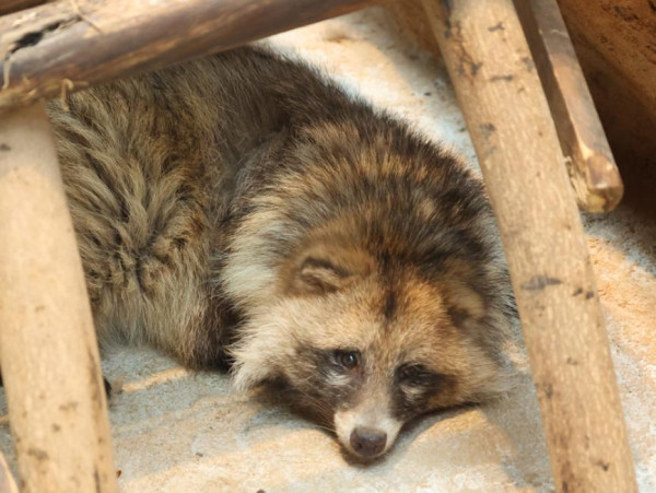 深圳遊樂場｜20+深圳室內遊樂場/滑雪場/主題樂園/動物園 亞洲最大海盜船/運動設施/VR遊戲 