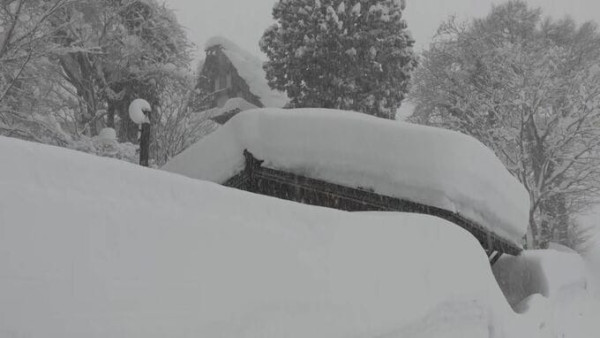 網民呻外遊港人5大失禮行為!小朋友升降機狂跳遭日本人勸阻 港爸媽反挑釁:想打架?
