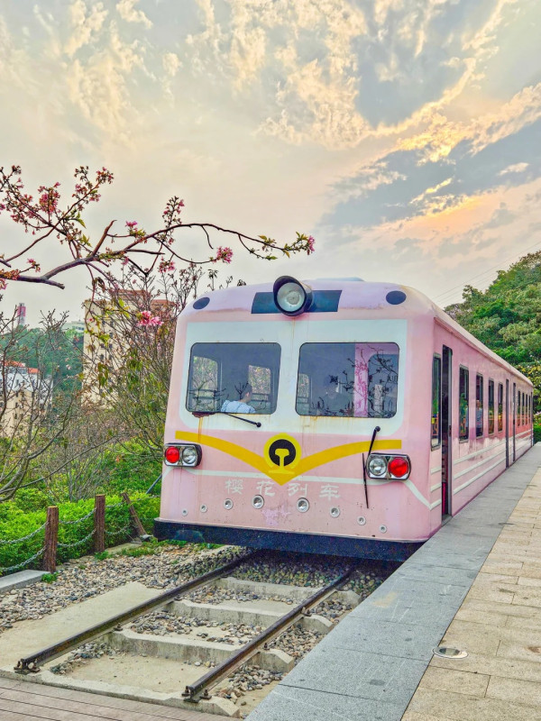 櫻花列車（圖片來源：小紅書＠有點甜）