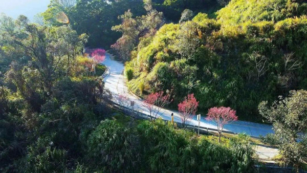 小三洲水庫（圖片來源：美麗深圳微信公眾號）