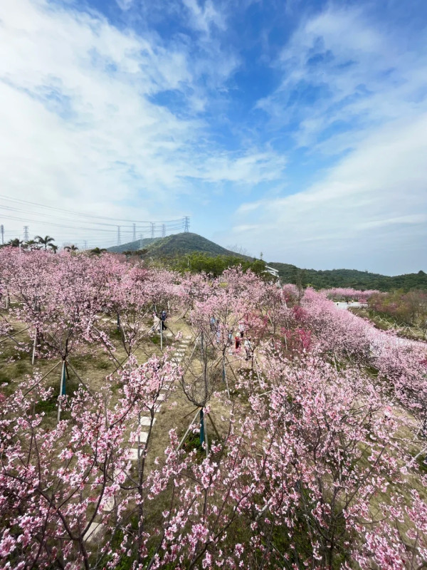 小三洲水庫（圖片來源：小紅書＠森織裡）