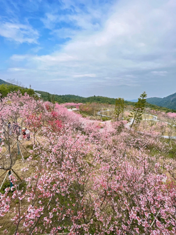 小三洲水庫（圖片來源：小紅書＠森織裡）