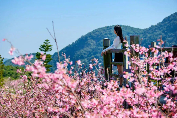 小三洲水庫（圖片來源：美麗深圳微信公眾號）