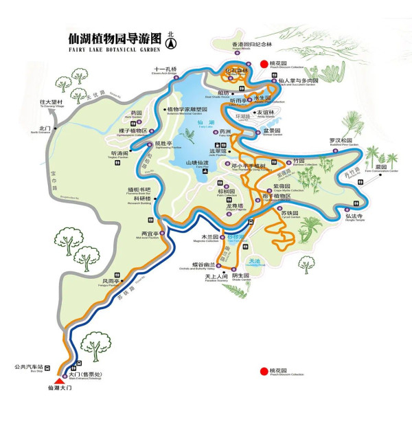 仙湖植物園桃花園位置（圖片來源：深圳市仙湖植物園微信公眾號）