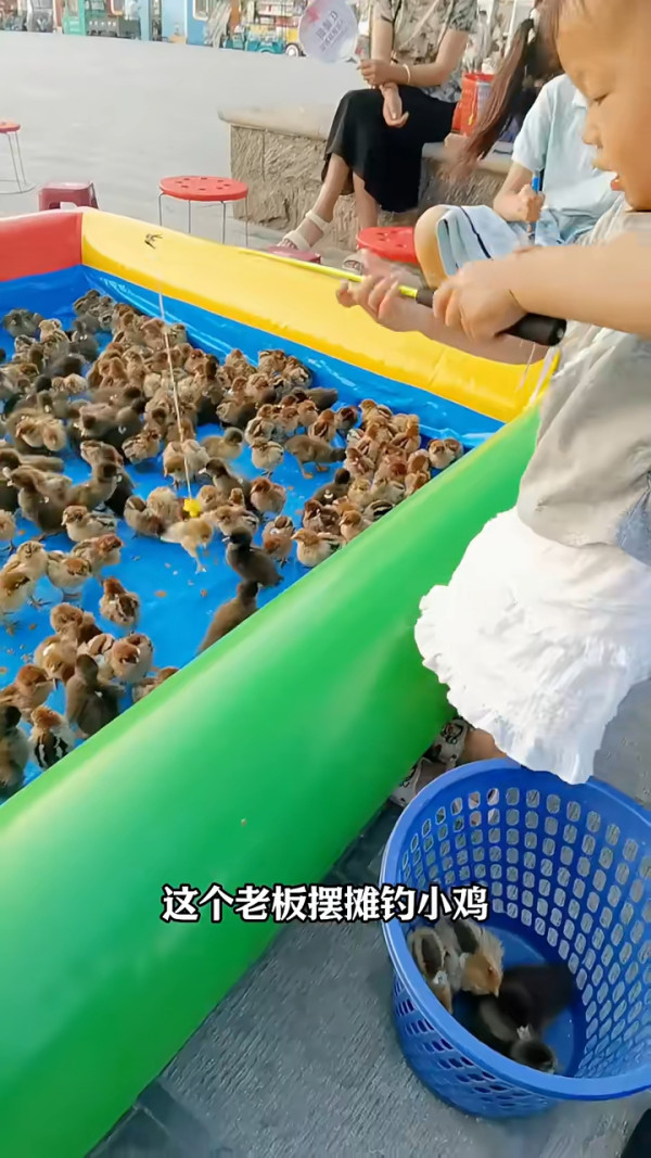 前TVB主播狠批深圳新興釣雞遊戲 20元任釣10分鐘仲可帶回家引網民熱議 