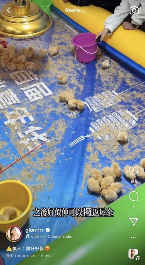 前TVB主播狠批深圳新興釣雞遊戲 20元任釣10分鐘仲可帶回家引網民熱議 