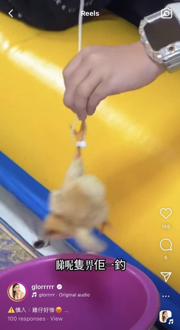 前TVB主播狠批深圳新興釣雞遊戲 20元任釣10分鐘仲可帶回家引網民熱議 