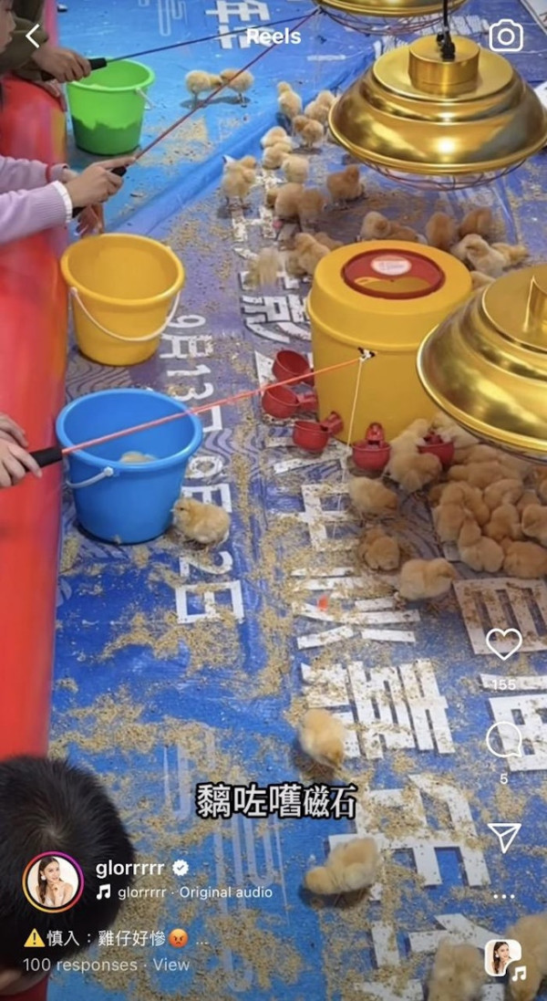 前TVB主播狠批深圳新興釣雞遊戲 20元任釣10分鐘仲可帶回家引網民熱議 