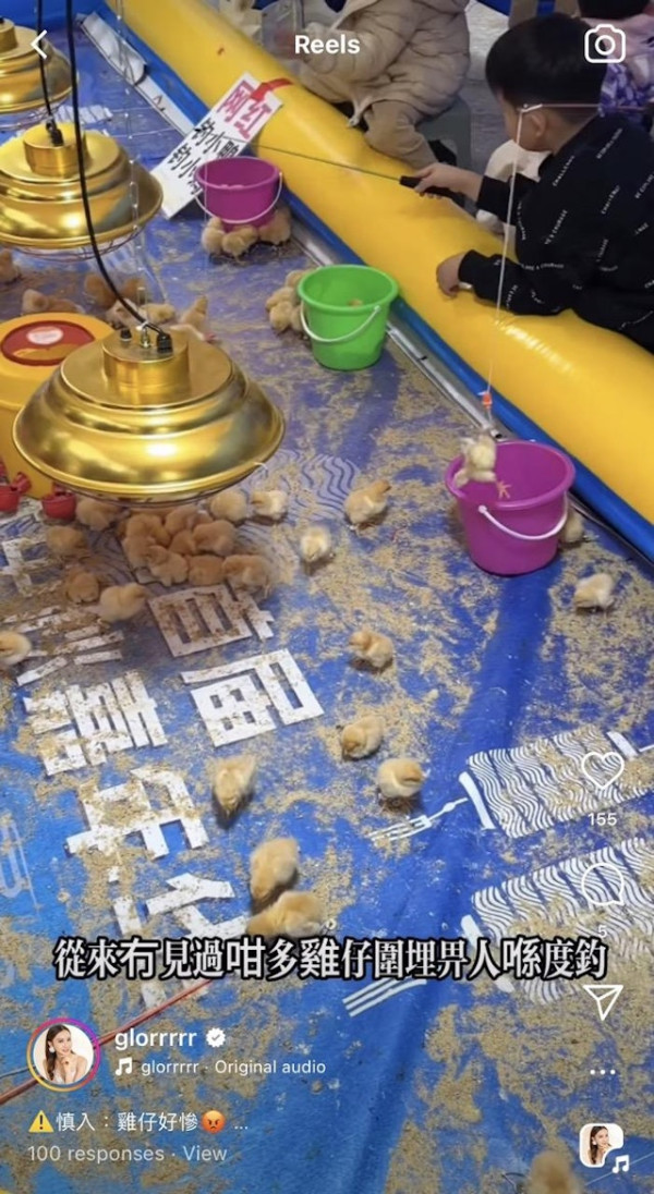 前TVB主播狠批深圳新興釣雞遊戲 20元任釣10分鐘仲可帶回家引網民熱議 