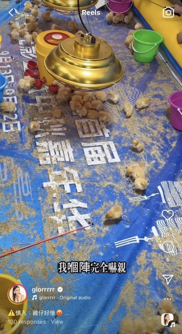 前TVB主播狠批深圳新興釣雞遊戲 20元任釣10分鐘仲可帶回家引網民熱議 