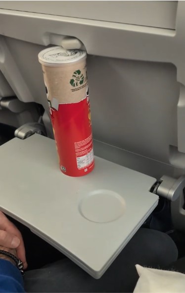 搭飛機鄰座男乘客公然DIY 求助空姐竟稱很正常 後續處理更誇張 